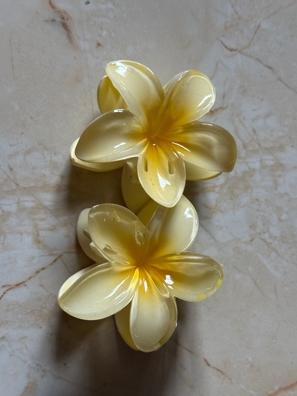 Champa Hair Clip (Pack of 2)