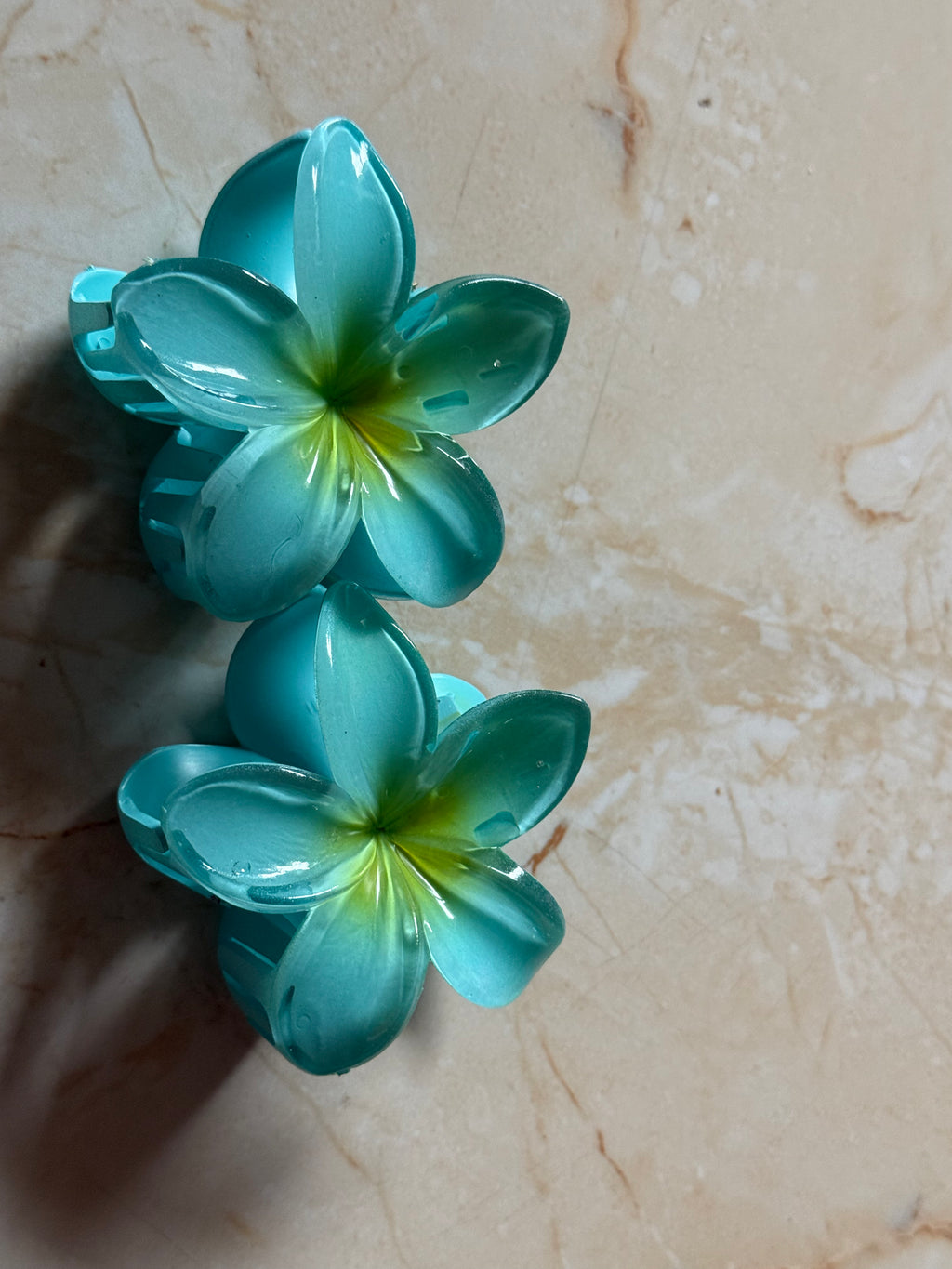 Champa Hair Clip (Pack of 2)