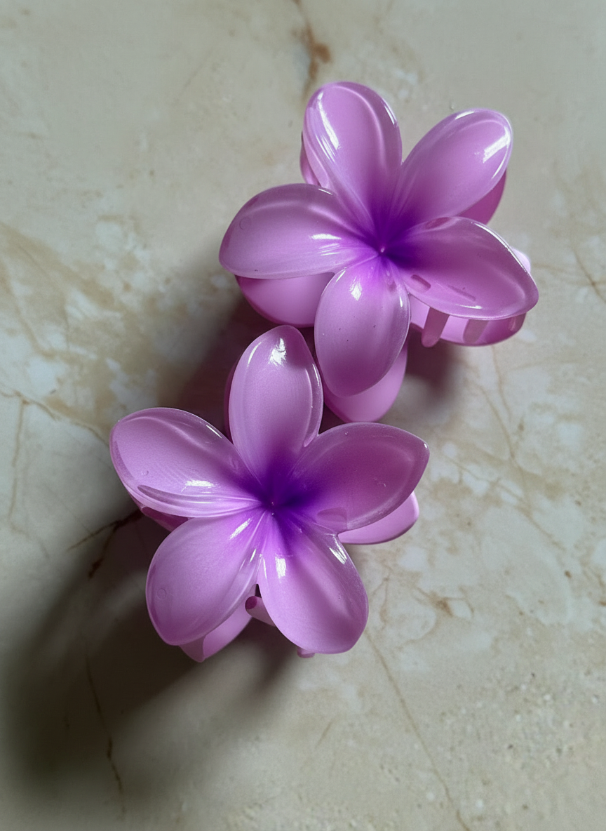 Champa Hair Clip (Pack of 2)