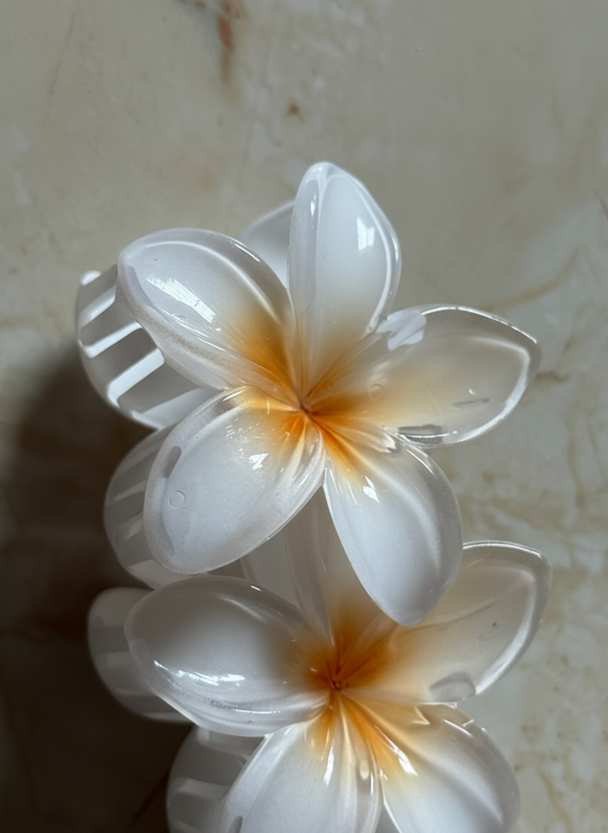 Champa Hair Clip (Pack of 2)