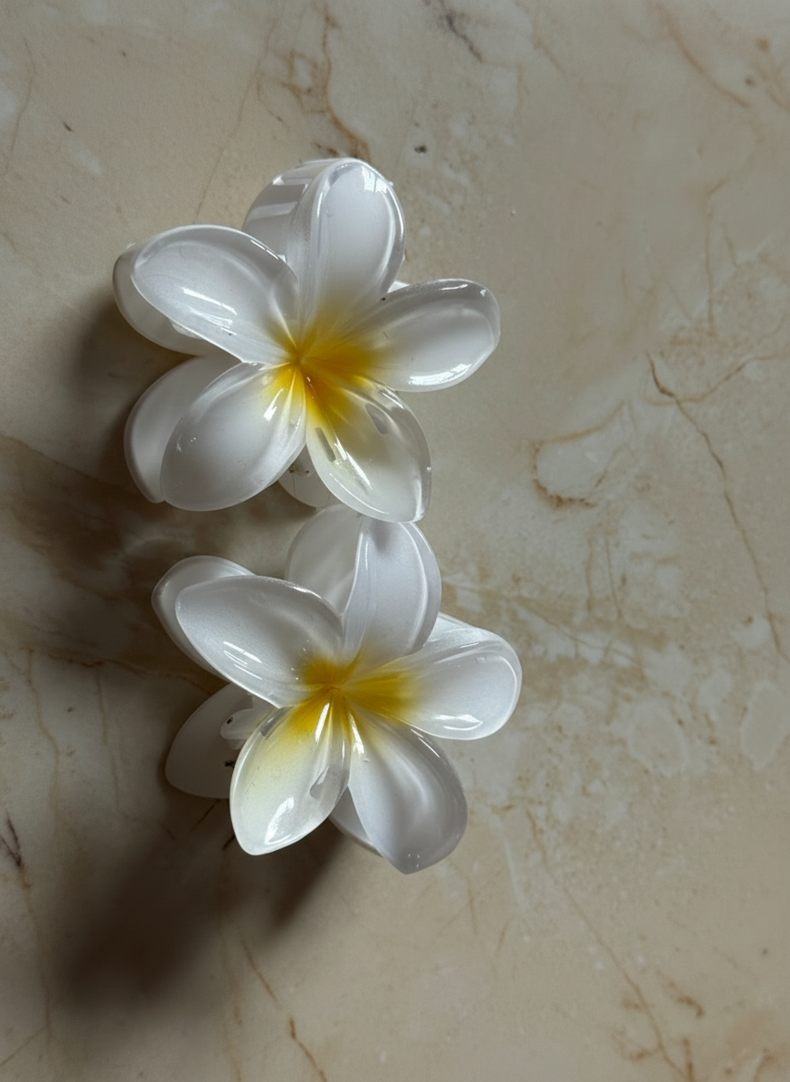 Champa Hair Clip (Pack of 2)